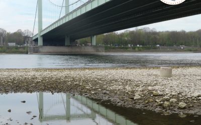 BilderBogen Ausgabe März 2023