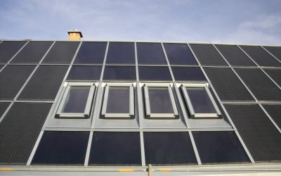 Klimaschutz erlernen – und gut dafür bezahlen lassen