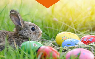 Der Kölner Bilderbogen wünscht allen Leserinnen und Lesern ein frohes Osterfest