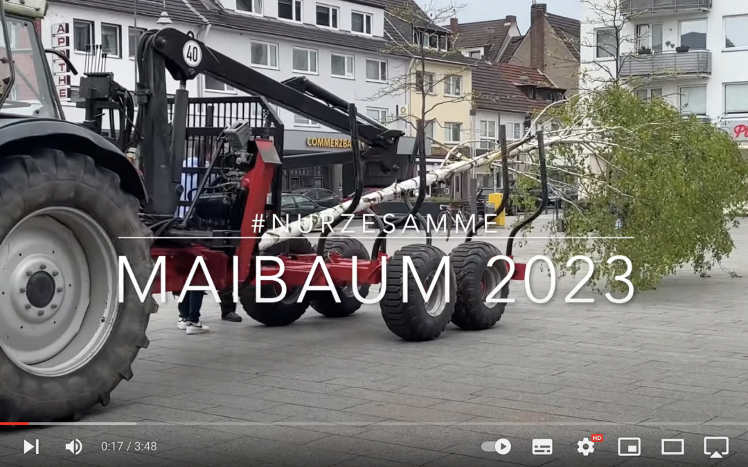 VIDEO: Der Maibaum auf dem Maternusplatz steht