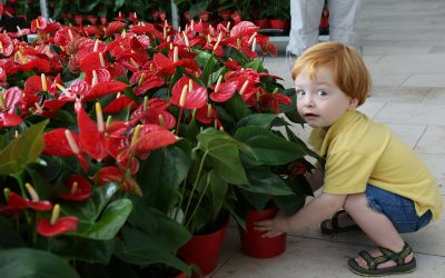 Wie stehen Sie zum Muttertag?