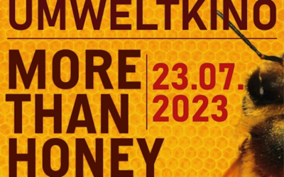 Kino mal anders: Das Umweltkino auf Gut Leidenhausen