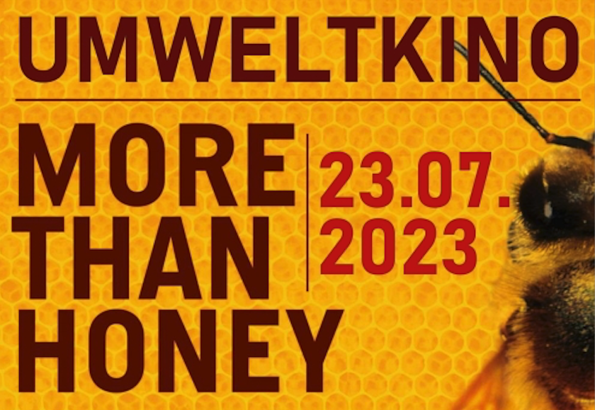 Kino mal anders: Das Umweltkino auf Gut Leidenhausen