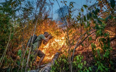 Multivisionsshow „Naturwunder Erde – Unsere Welt im Wandel“