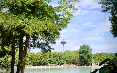 Höhenrettungsübungen am Colonius