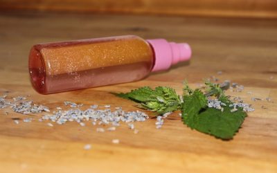 Workshop: Naturkosmetik mit Wildkräutern