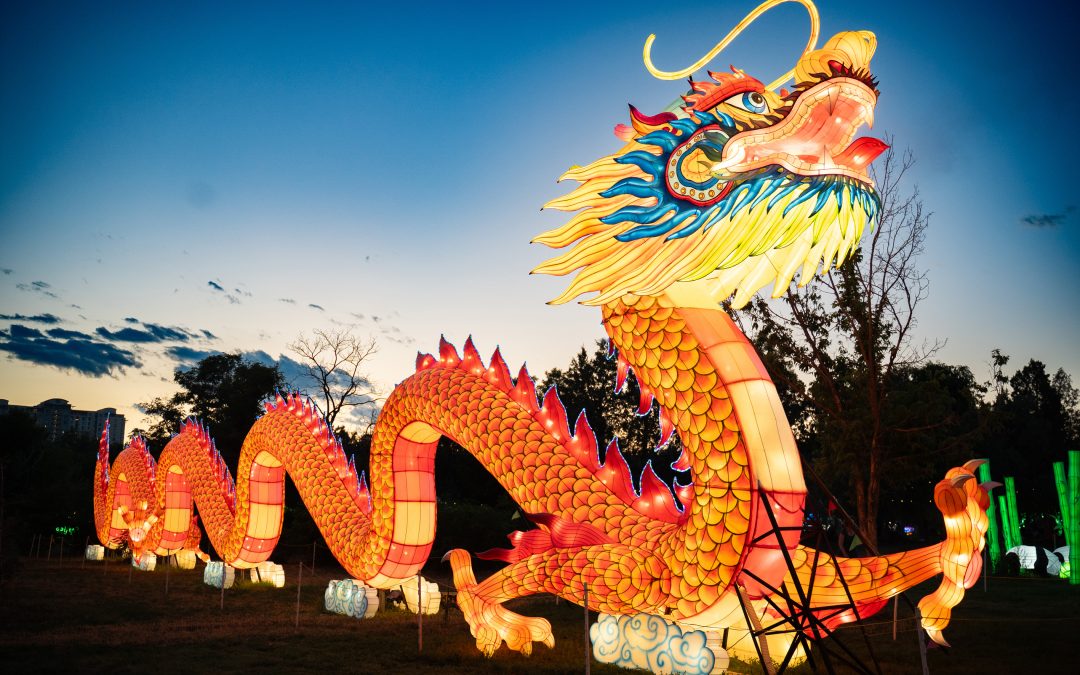 Wieder da: China Lights im Kölner Zoo
