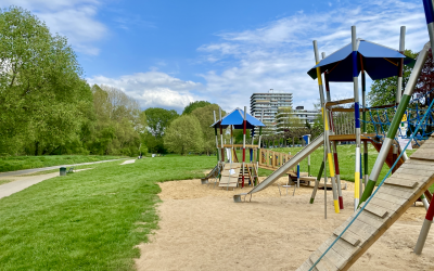 Baumpflegearbeiten an der Uferstraße in Köln-Rodenkirchen
