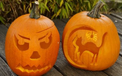 Mittelalterfest auf Gut Leidenhausen