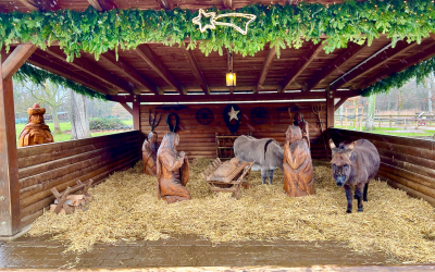 Grüne Termine im Dezember 2023