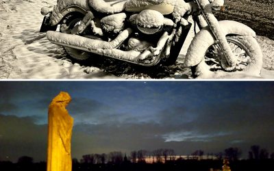 Bilder der Woche