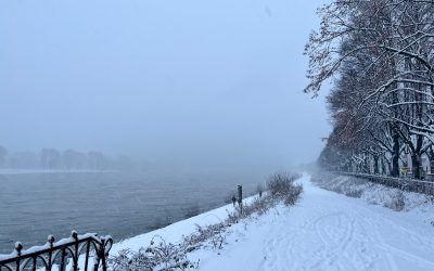 Bilder der Woche