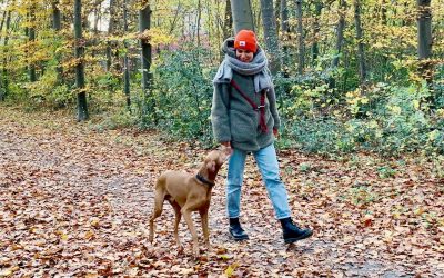 Kater überlisten: Soforthilfe für den Tag danach