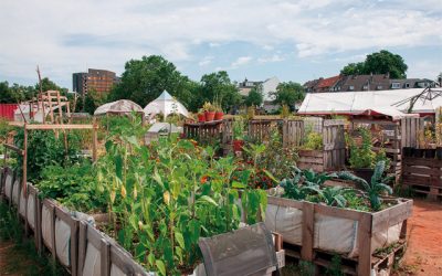 Fördermittel für Urban Gardening