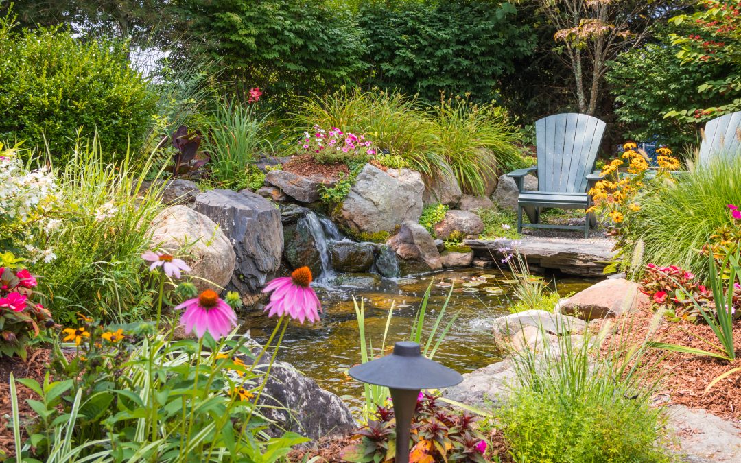 Vortrag: Naturnaher Gartenteich – Wie gelingt er am besten?