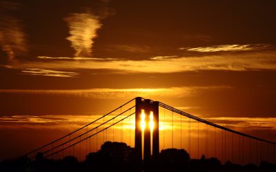 Bilder der Woche