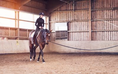 Im Juni ist Reitfest in Weiß