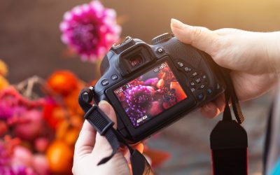 Natur-Fotowettbewerb „Tiere und Pflanzen in Kölner Naturschutzgebieten