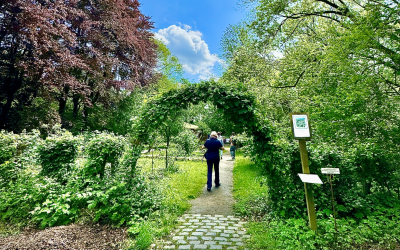 „Grüne Veranstaltungen“