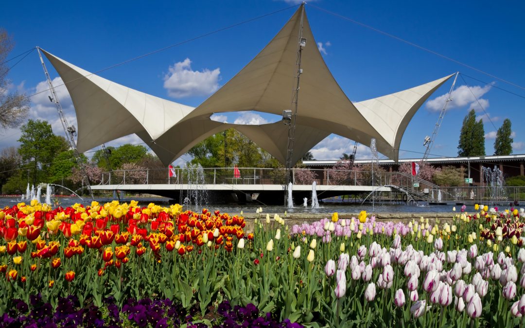 Host City Köln: Kick & Comedy Event am Tanzbrunnen