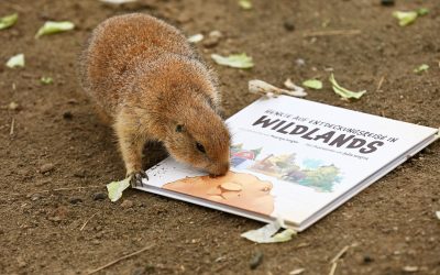 WILDLANDS veröffentlicht Kinderbuch über Präriehund Henkie