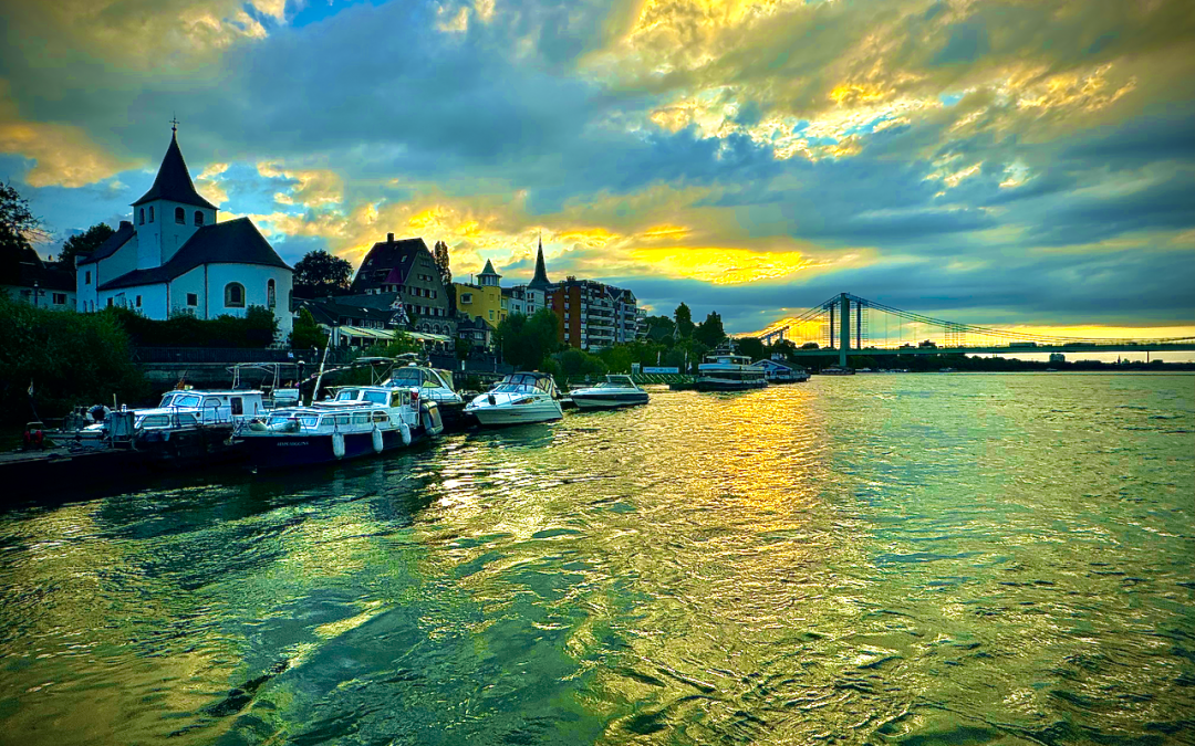Bild der Woche