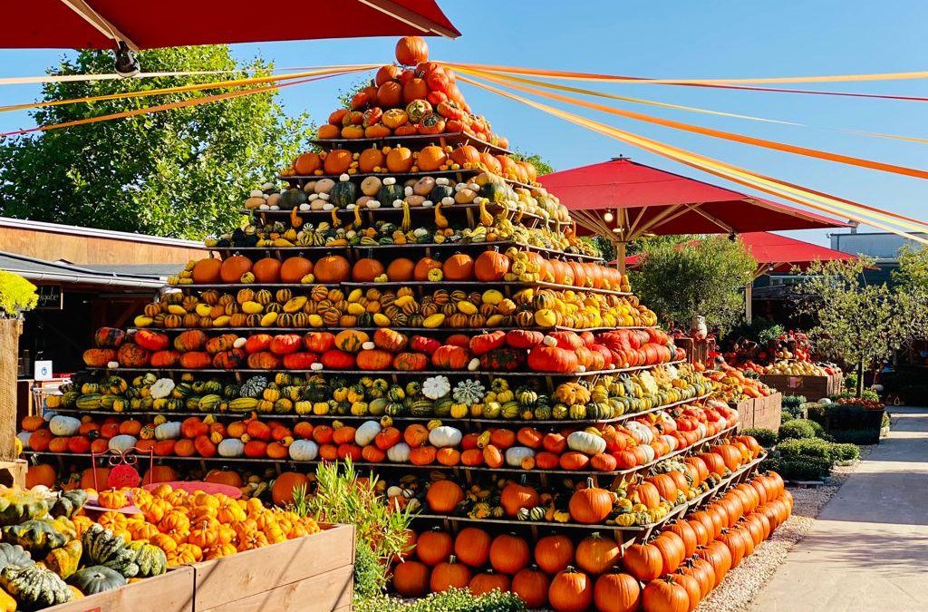 Eröffnung des Gertrudenhof Kürbisparks 2024