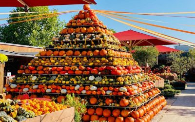 Eröffnung des Gertrudenhof Kürbisparks 2024