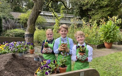 Wenn Dräum widder blöhe: Kölner Kinderdreigestirn der Session 2025 steht fest