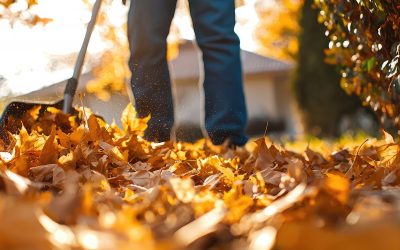 Blatt für Blatt zur sauberen Stadt – AWB Köln im Laubeinsatz