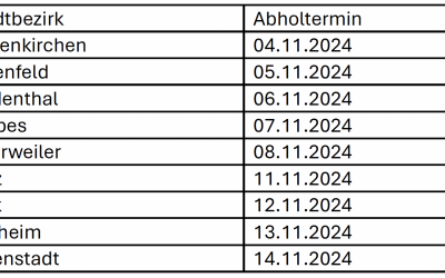 Das letzte Mal Rasen mähen vor dem Winter?