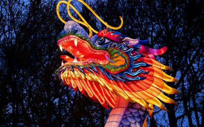 Wieder da: China Lights im Kölner Zoo