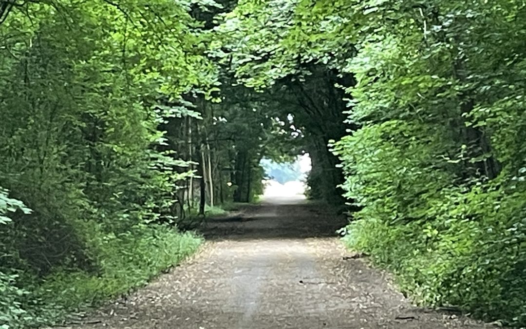 Du kannst für niemand anderen den Weg gehen