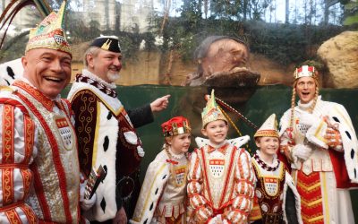 Großes Alaaf bei den dicksten Zootieren