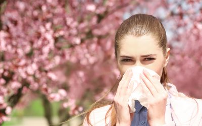 Wetterumschwung bringt Pollenalarm