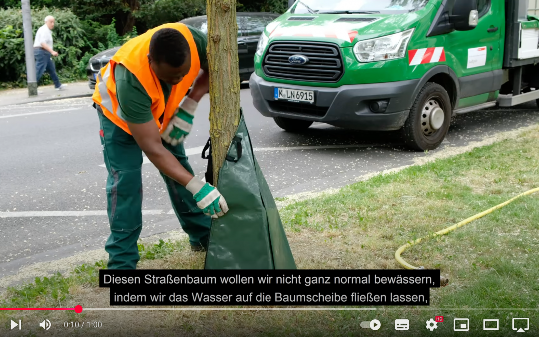 Ausgabe von Wassersäcken gegen die Trockenheit