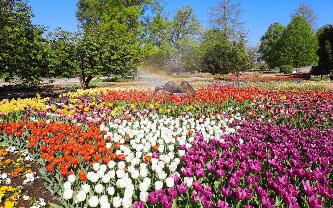 Kleine Lichtblicke am Ende der Winterzeit