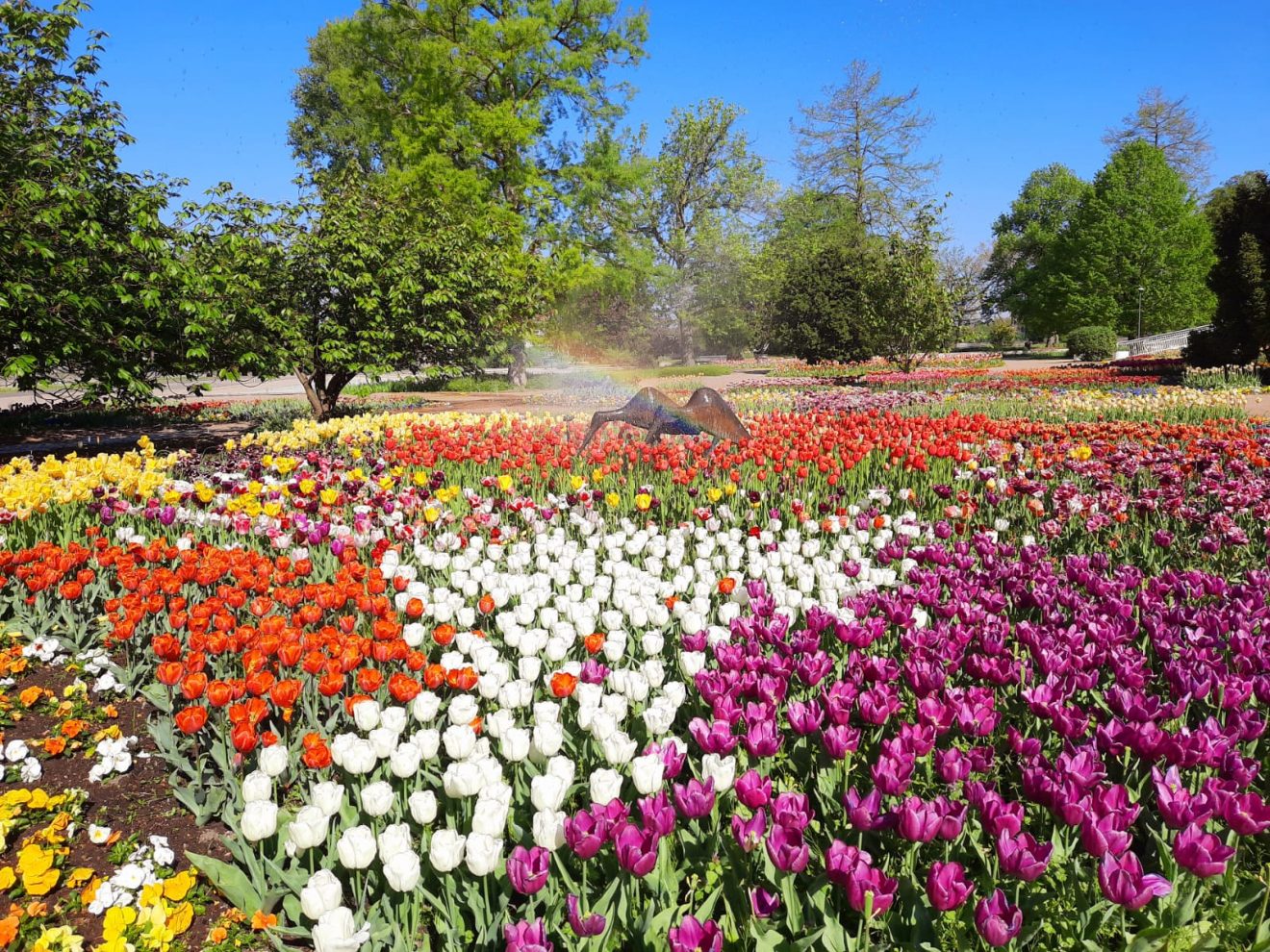 Kleine Lichtblicke am Ende der Winterzeit