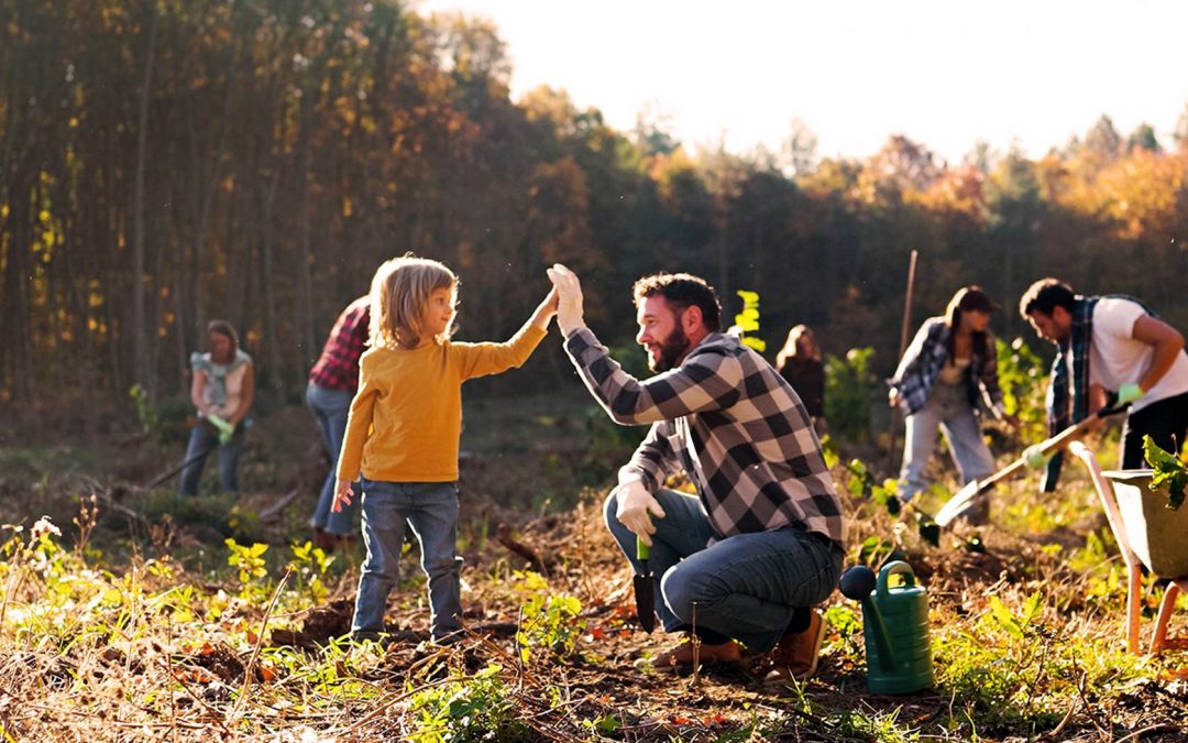 Vereins- und Betriebsprojekte mit Vorbildcharakter für den Klimaschutz gesucht
