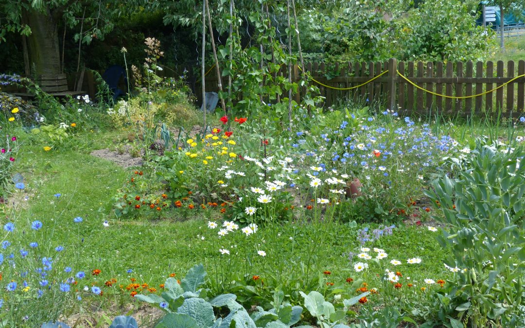 Stadt prämiert erneut Vielfalt in Gärten