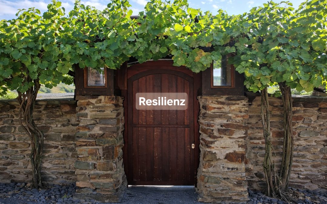 Resilienz: Die Tür zur inneren Stärke