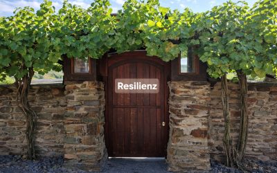 Resilienz: Die Tür zur inneren Stärke