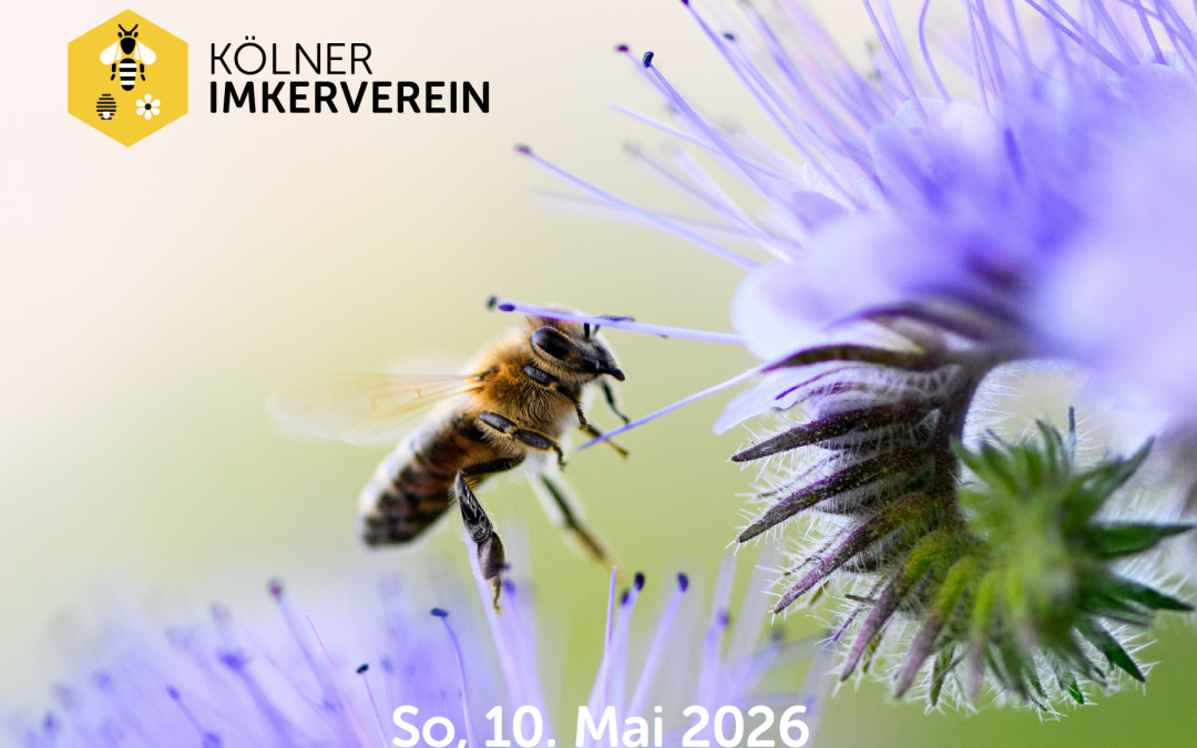 13. Bienentag in Finkens Garten