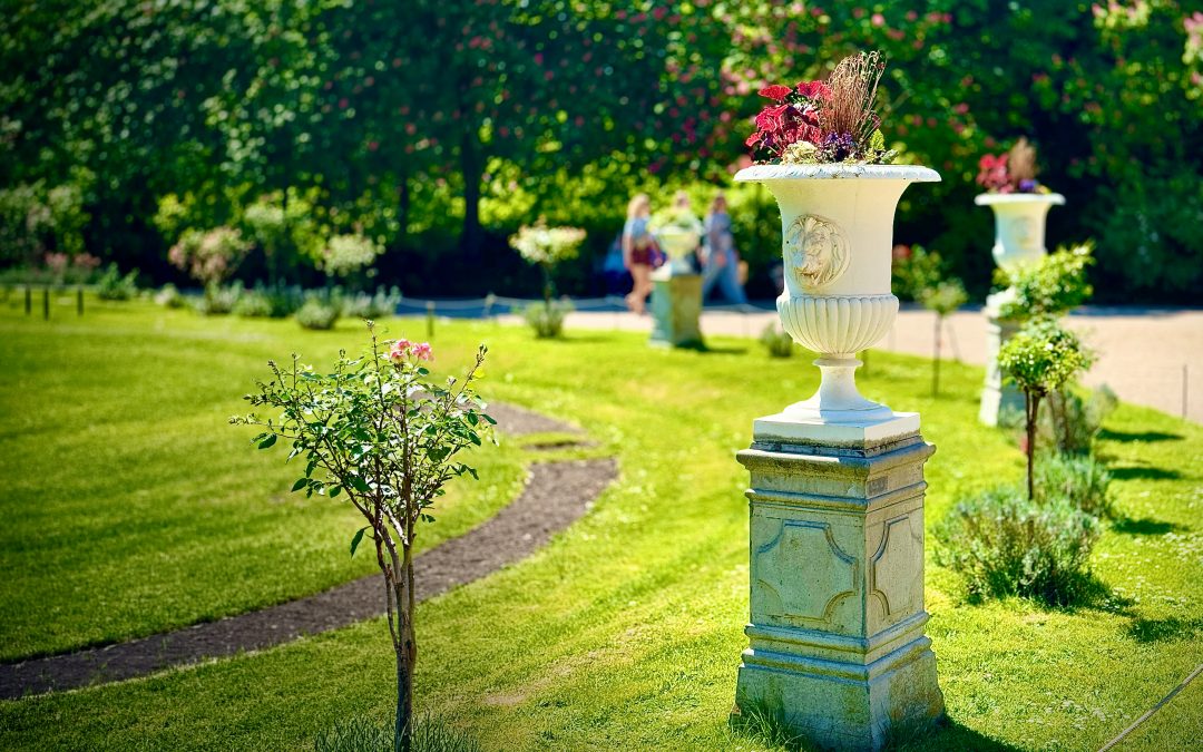 Botanischer Garten: Essbare Blüten in der Flora